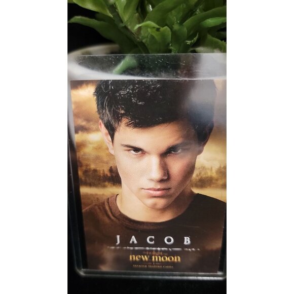 Collectible Edward and Jacob New Moon trading cards with Protective Sheaths - Picture 7 of 7